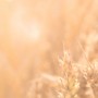 jez-timms-332991-unsplash_1920x487_acf_cropped.jpg