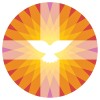 IZB_PartnerLogo_PKN.jpg