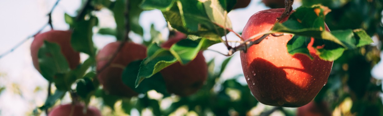 appels