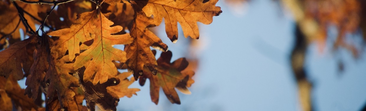 herfst